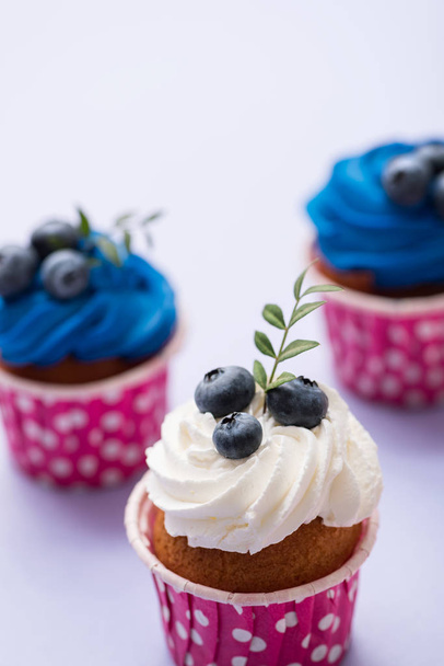 Cupcake with bluberry closeup shot - Zdjęcie, obraz