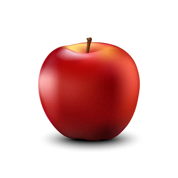 Red apple realistic detailed. Vector. - Вектор,изображение