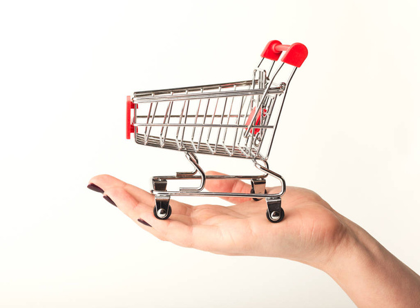 Woman hand holding empty shopping cart - Photo, Image