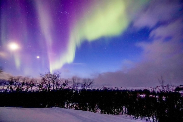 Aurora Borealis w mieście Tromso Norwegii. Europie. - Zdjęcie, obraz