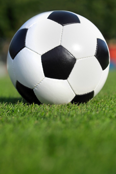 pelota de fútbol en la hierba - Foto, Imagen