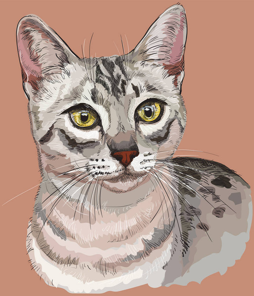 カラフルなエジプトの Mau 猫 - ベクター画像