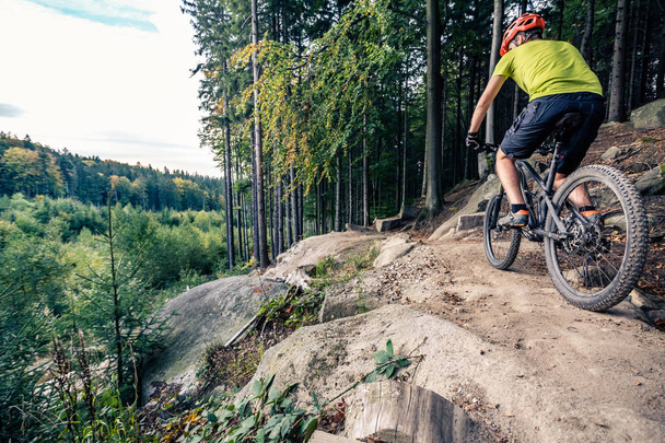 Mountain biker riding cycling in autumn forest - 写真・画像