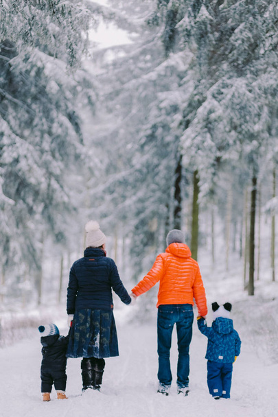 family walking in winter forest. Snow pine forest - Foto, Imagen