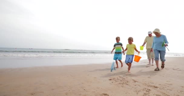 Kieliszek w zwolnionym tempie dwóch braci i ich dziadków, szukając muszle na plaży. - Materiał filmowy, wideo