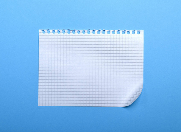 пустой белый лист в коробке с изогнутым углом
  - Фото, изображение