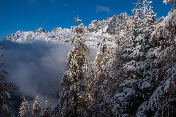 autumn and winter in the French alps - Photo, Image