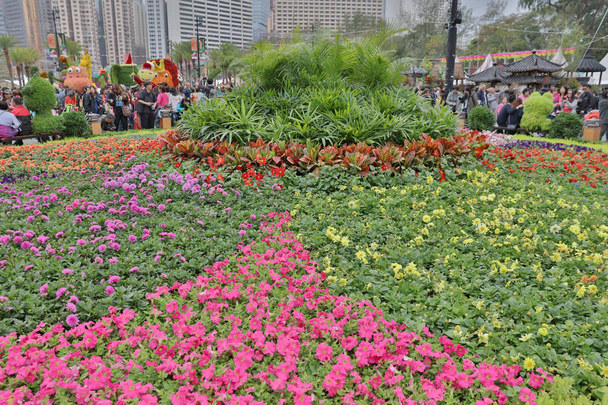 ein Blumenfeld auf der hk Blumenschau 2018 - Foto, Bild