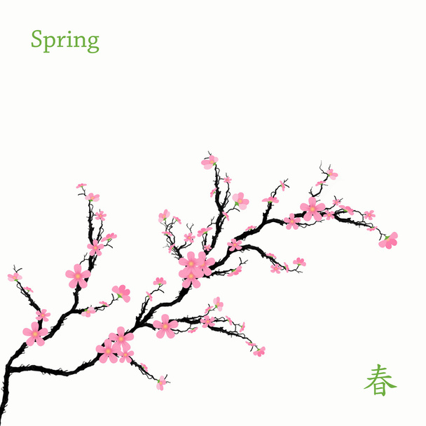 wiosna wiśnia kwiaty - Wektor, obraz