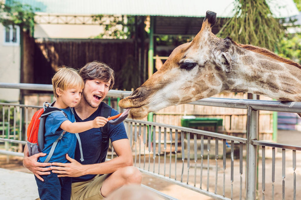 Father and son watching and feeding giraffe in zoo. Happy kid having fun with animals safari park on warm summer day. - Foto, imagen