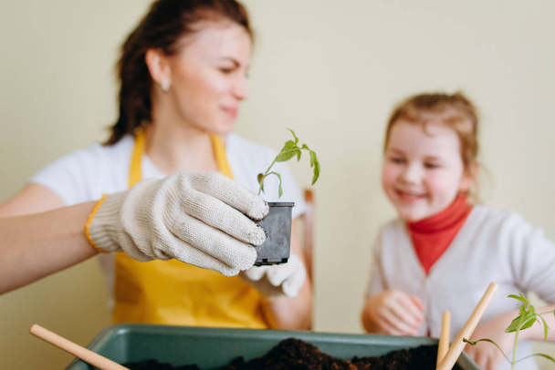 Woman joking with little girl and shoving little sprouts in pot at camera - Foto, Bild