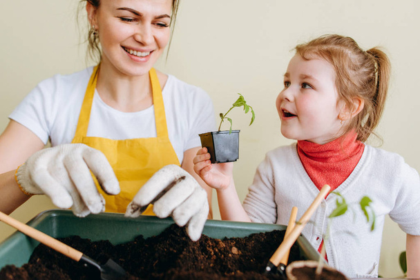 Front view of little girl shoving green sprout in vase to mother on background with gardening tools - Фото, зображення