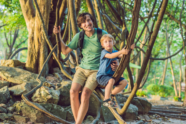 father and son watching tropical lianas in wet tropical forests. - Φωτογραφία, εικόνα