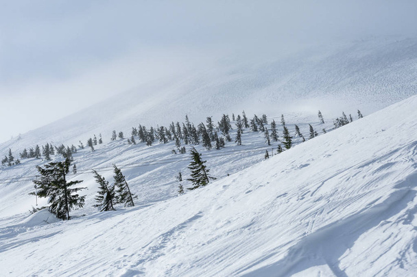 Ski slope at snowy resort - 写真・画像