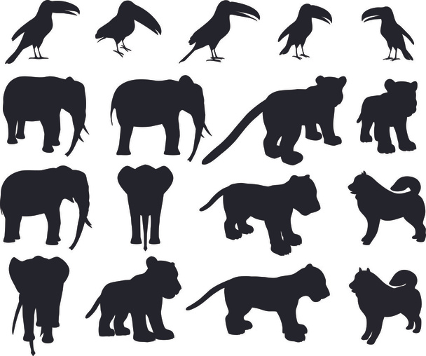 Zoo animals collection - Vector, Image