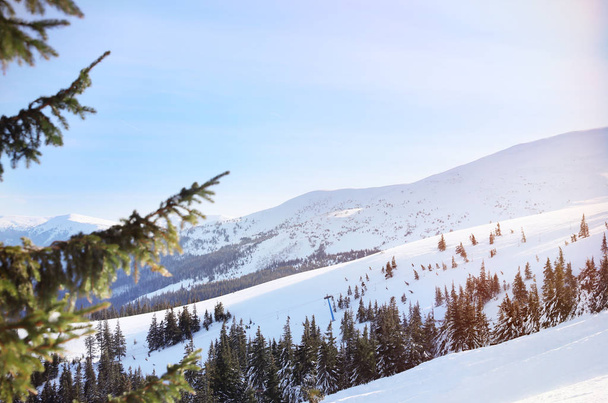 Ski slope at snowy resort - 写真・画像