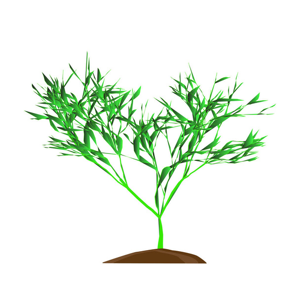 der Baum mit grünem Blatt auf weißem Hintergrund, Vektorillustration - Vektor, Bild