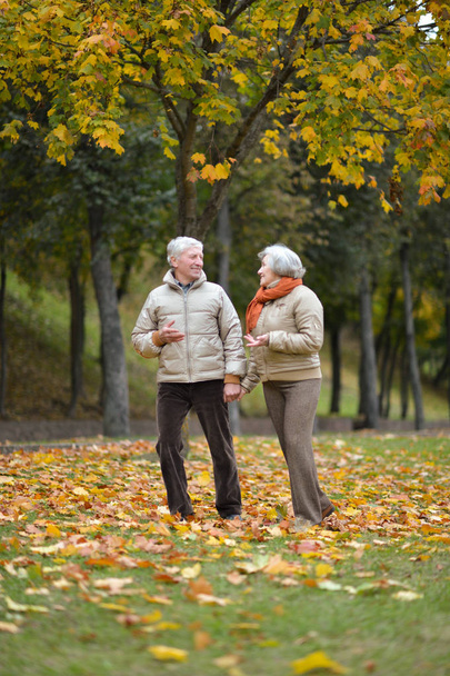 portrait of beautiful caucasian senior couple walking  in the park  - Foto, Imagen