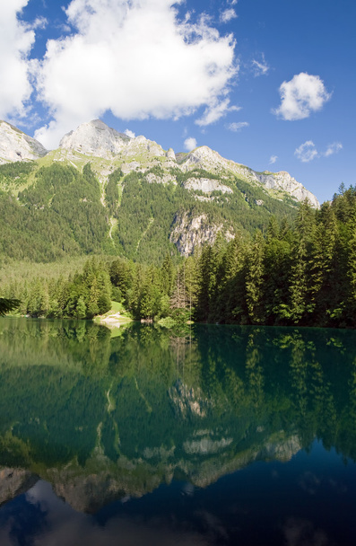 Tovel lake, Trentino, Italia
 - Foto, Imagen