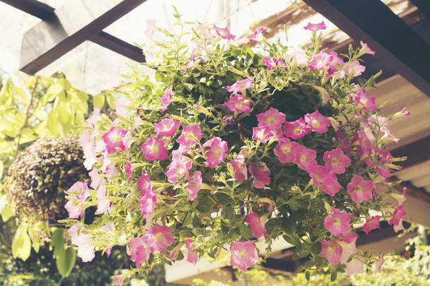 Flowers decorate the roof, vintage filter image - Foto, imagen