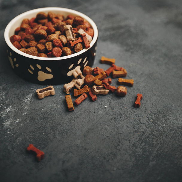 Dry pet food in bowl - Foto, immagini