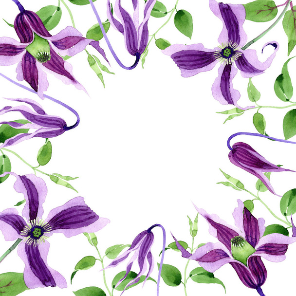Wildflower clematis hanajima květinový rámeček ve stylu akvarelu. - Fotografie, Obrázek