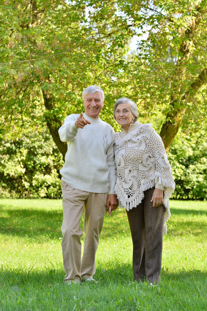 portrait of beautiful caucasian senior couple walking  in park. Man pointing with finger  - Photo, Image