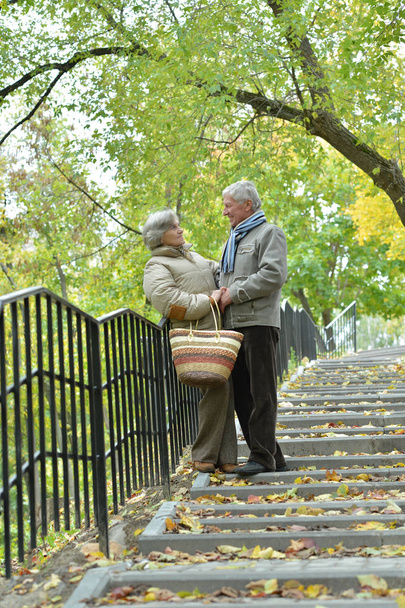 portrait of beautiful caucasian senior couple walking  in the park  - Photo, Image