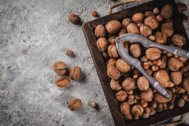 Various nuts selection - Фото, изображение