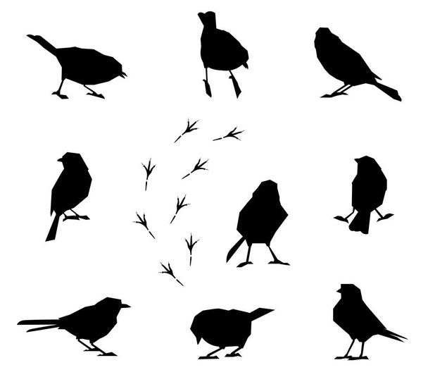 A set of silhouettes of winter birds. - Вектор, зображення