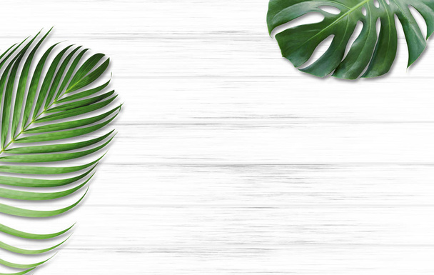 Monstera deliciosa et feuilles tropicales de palmier jaune isolées sur fond de bois blanc avec espace de copie
 - Photo, image