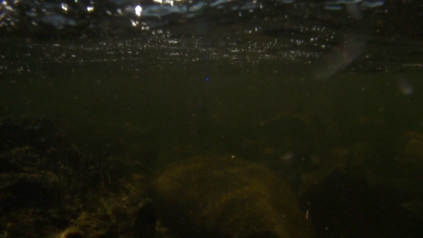 Gocce l'acqua sulla videocamera in fiume di montagna Temnik in Siberia di Russia. - Filmati, video
