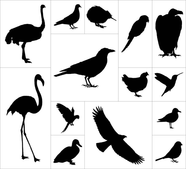 Nagy és részletes készlet-ból ikonok különböző madár. - Vektor, kép