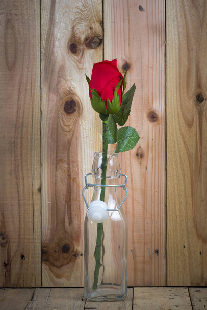 vintage rose flower for use - Foto, afbeelding
