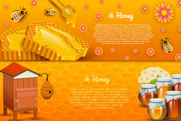 Miel o producto natural de granja. apicultura o jardín. Salud, dulces orgánicos, ilustración de medicina, agricultura. comida en panal cocinada por abejas. fondo para el texto. Tarjeta o póster para el sitio web
. - Vector, Imagen
