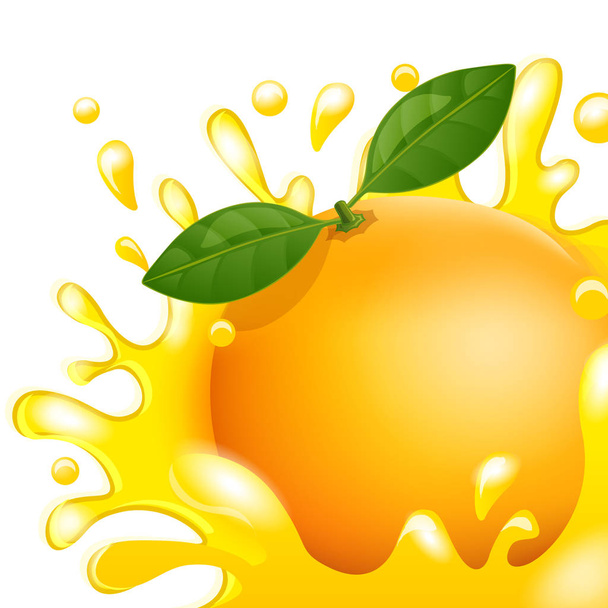 Fresh orange juice on white background. Vector illustration - Vector, Image