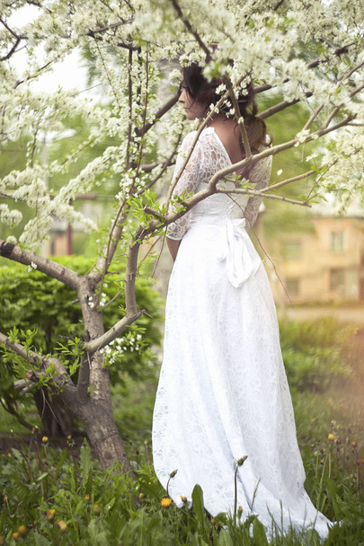 Beautiful bride woman in Forest - Zdjęcie, obraz