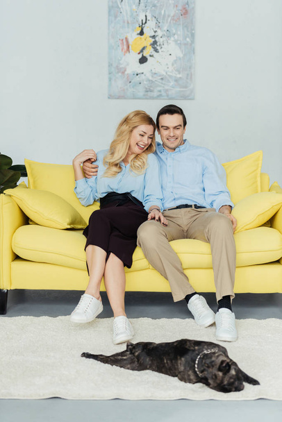 Embracing man and woman sitting on yellow sofa by frenchie puppy on floor - Foto, Bild