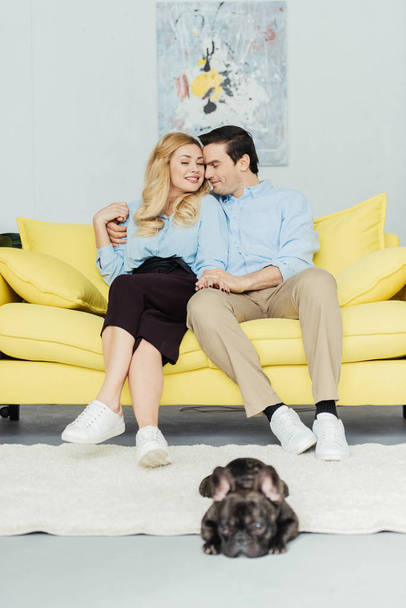 Femme blonde étreignant son petit ami sur le canapé par bulldog français sur le sol
 - Photo, image