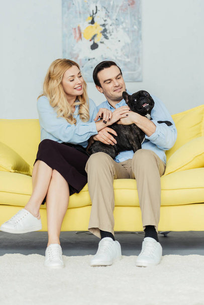 Happy couple sitting and holding french bulldog on yellow sofa - Foto, afbeelding