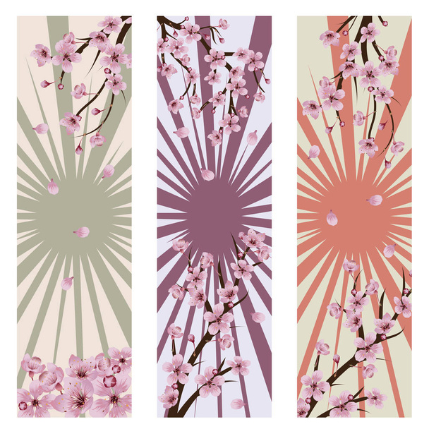 Estandarte flor de Sakura - Vector, imagen