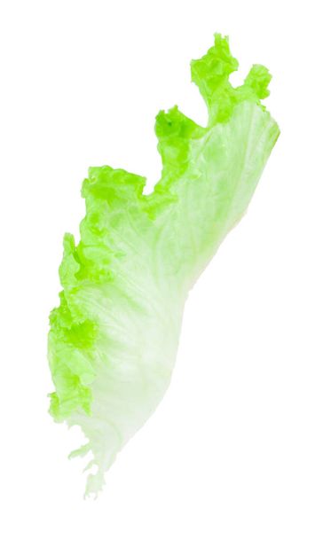 Салатный лист. Салат изолирован на белом фоне. С вырезкой
  - Фото, изображение