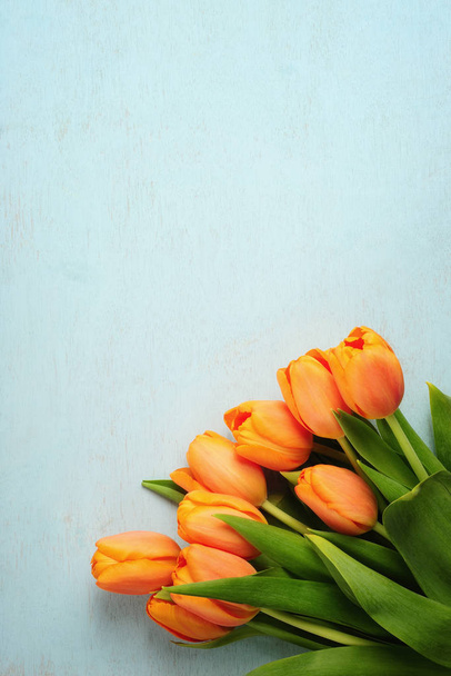 tulip bouquet on blue wooden background - 写真・画像