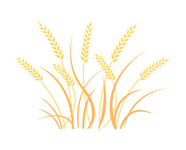 Wheat field background. Cereals icon set. - Vector, Image