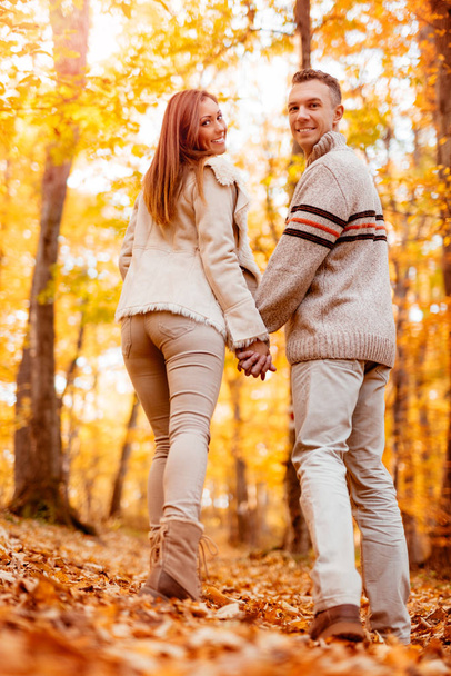 Beautiful smiling couple walking in sunny forest in autumn colors. Looking at camera, rear vew. - Foto, afbeelding