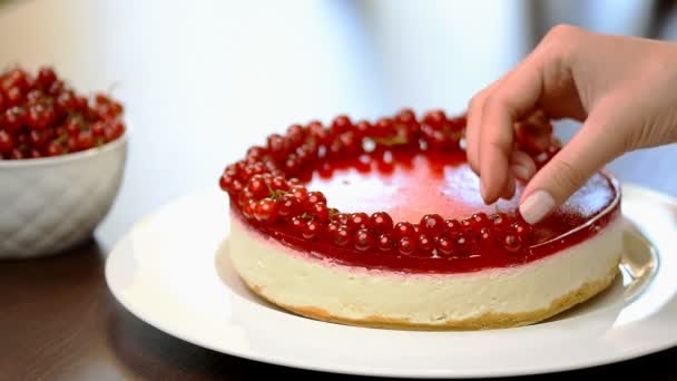 Sour cream cheesecake with red currant. - Footage, Video