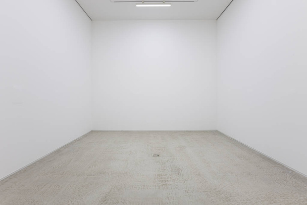 Una vista de un interior pintado de blanco de una habitación vacía o una galería de arte con una iluminación fluorescente y suelos de madera
 - Foto, imagen