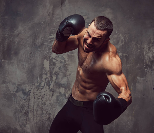 A brutal muscular boxer with boxing gloves working on punching technique. - Foto, Imagen