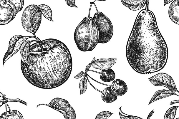 Fruits and berries seamless pattern. Realistic apple, pear, plum and cherry. Black and white. Vector illustration art. Vintage engraving. Hand drawing. Template with nature motifs for kitchen design. - Wektor, obraz