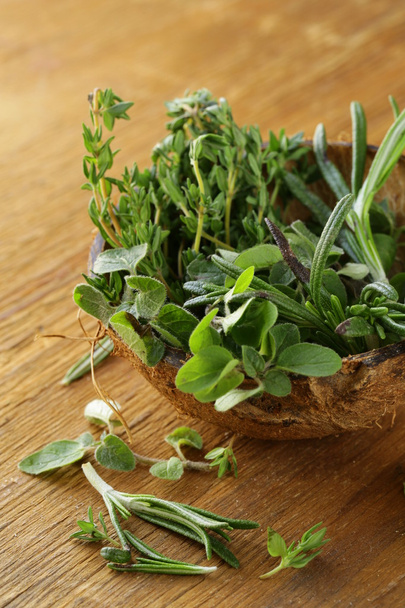 Various herbs spices (rosemary, thyme, oregano) - Photo, Image